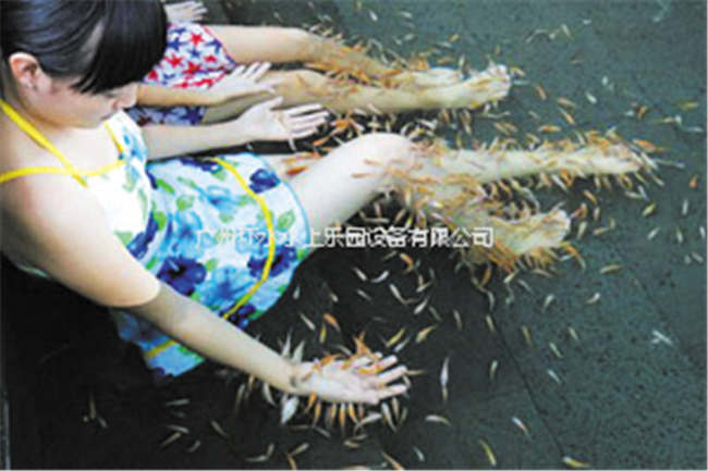 鱼疗浴